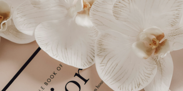 Top 3 perfumes de Dior para mujer 