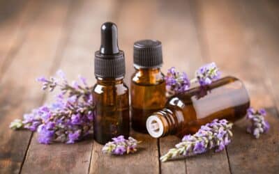Aromaterapia y los Mejores Aromas para el Hogar: El Secreto de la Armonía
